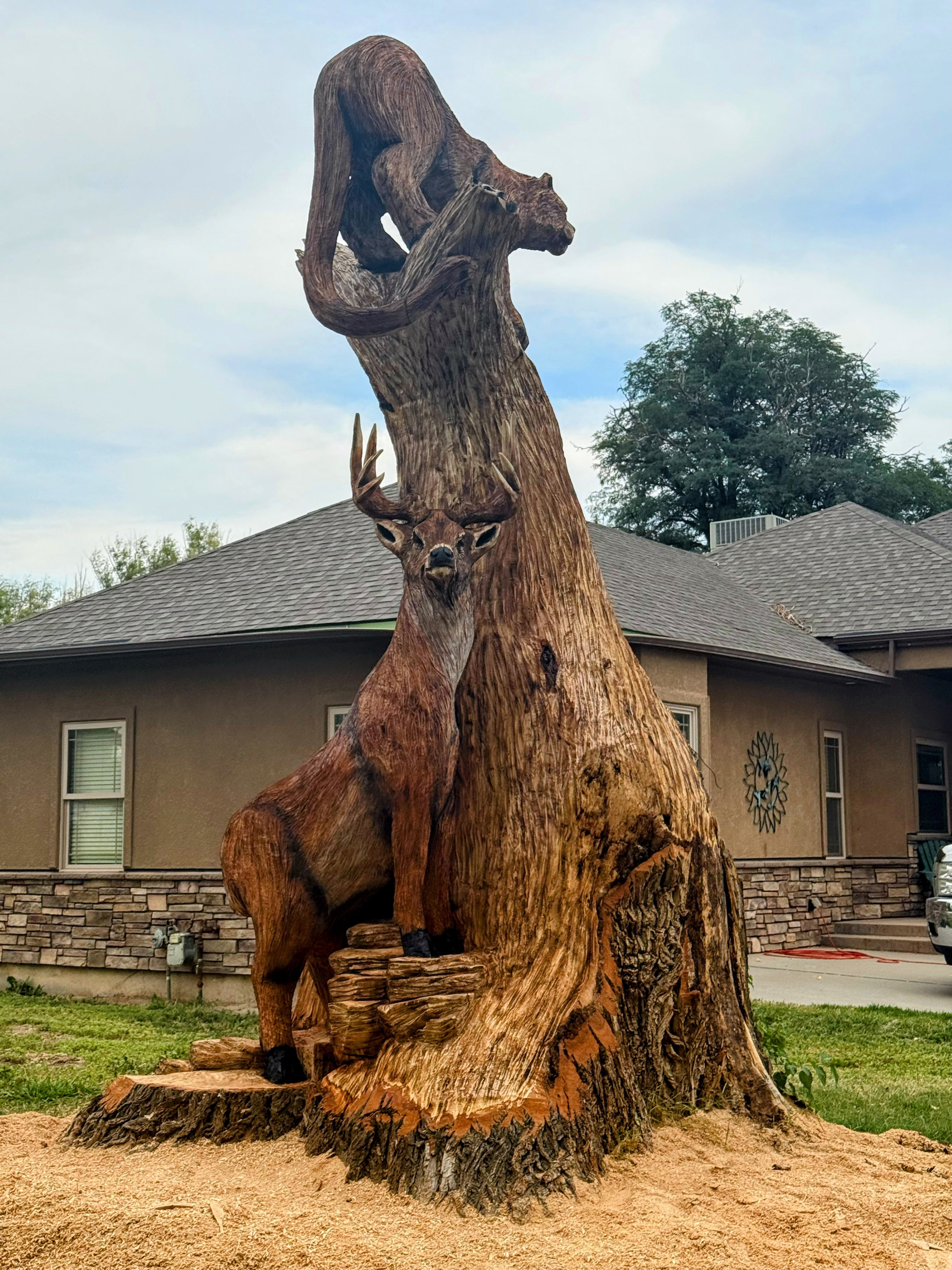 Colorado Tree Carving On-Site