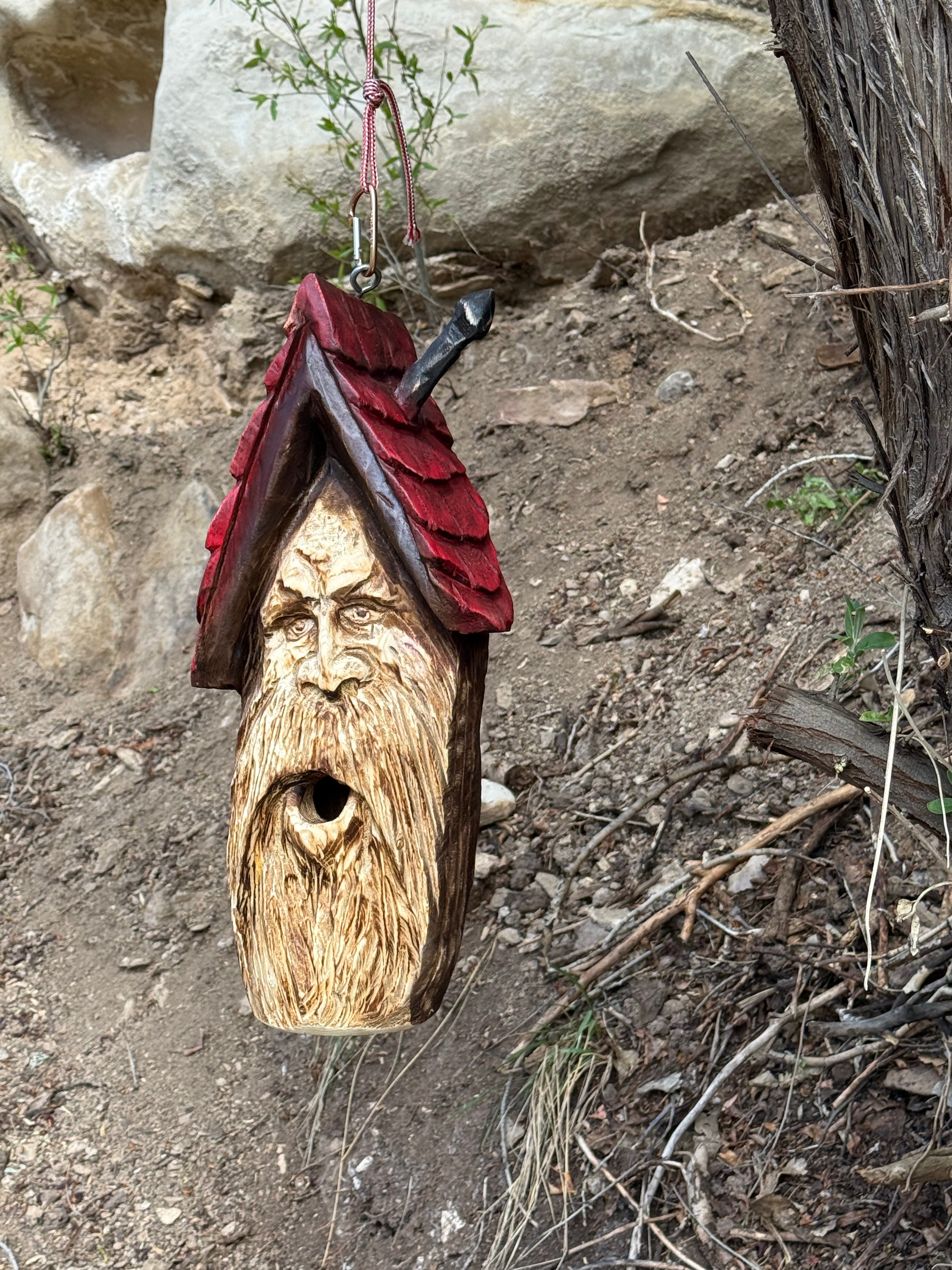 Whimsical Bird House